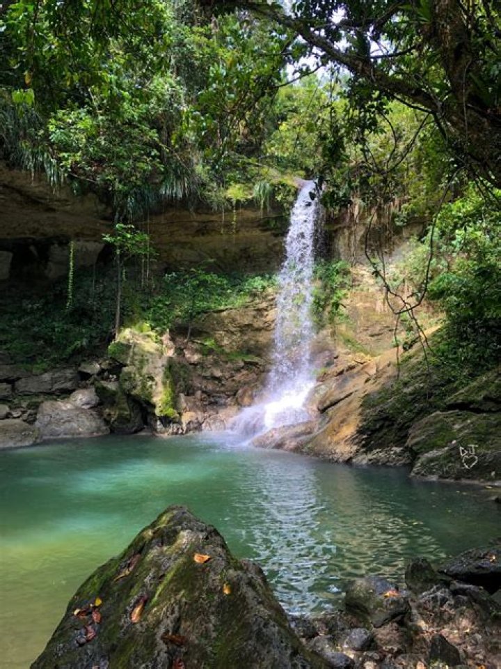 10 Gorgeous Waterfalls in Puerto Rico
