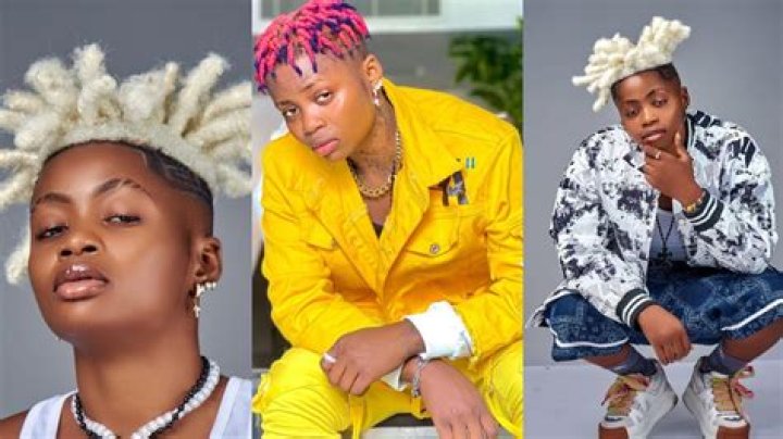 Black Chully Tiktok Viral Video Scandal And Controversy Explained