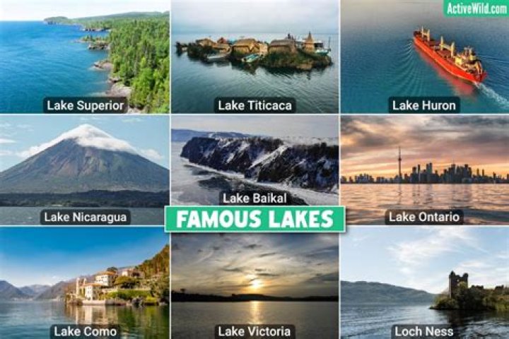 Celebrities named Lake