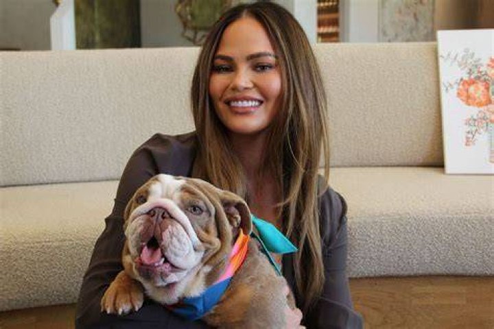 Chrissy Teigen and John Legend adopt cutest dog in the world