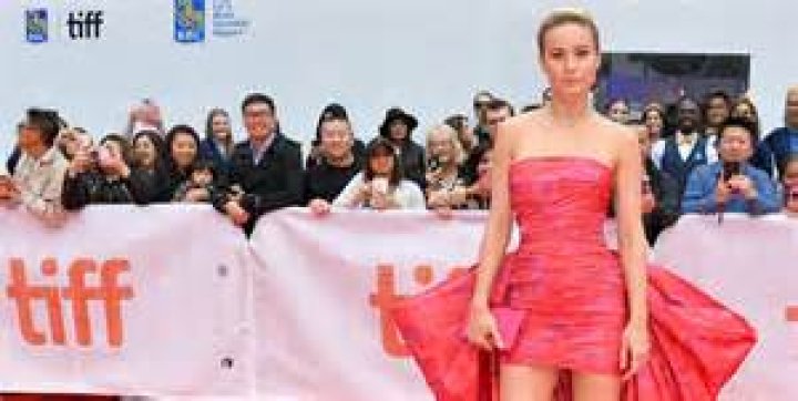 Five Roles That Brie Larson Would be Perfect For