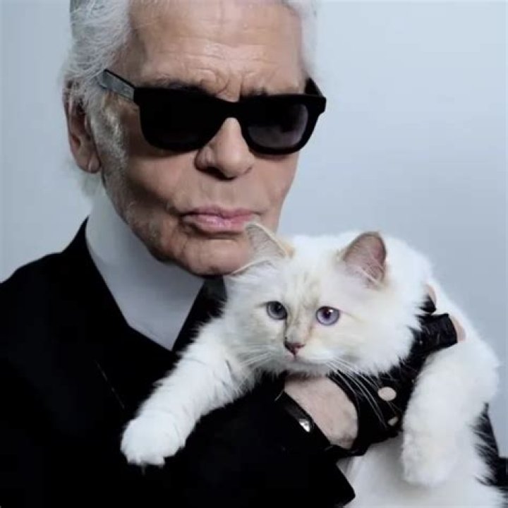 Karl Lagerfeld Pets - Celebrity Pets