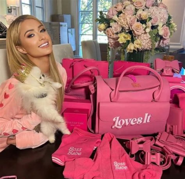 MetaPink: Paris Hilton finally launches a dog accessories collection with Moshiqa