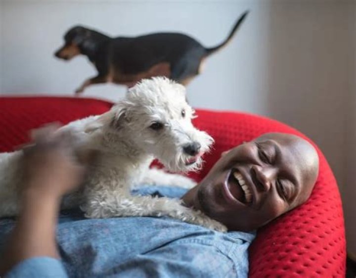 Tituss Burgess Pets - Celebrity Pets