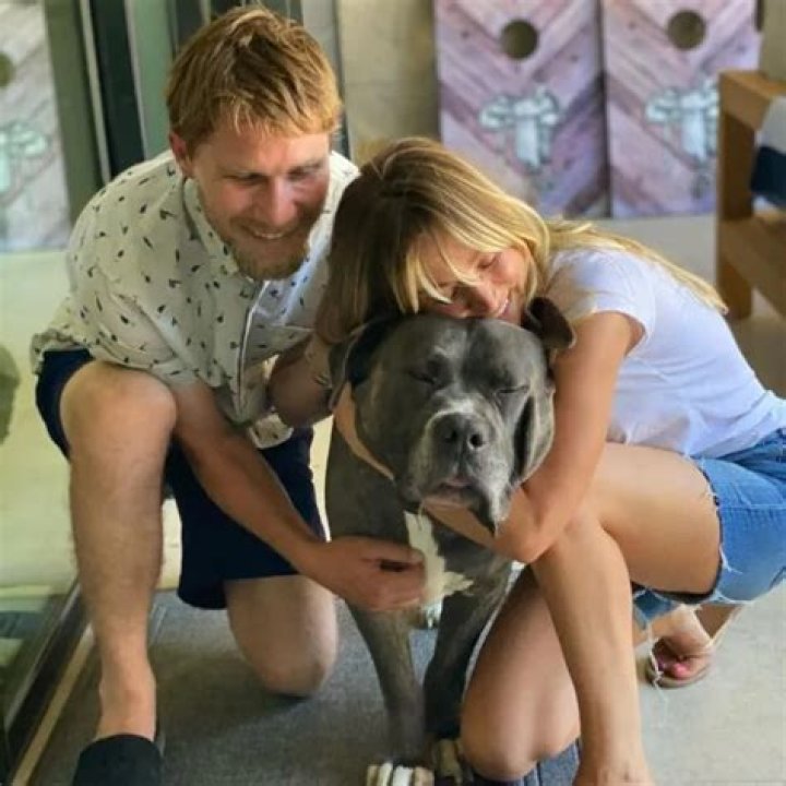 Top 10 Celebrities and Their Pitbulls