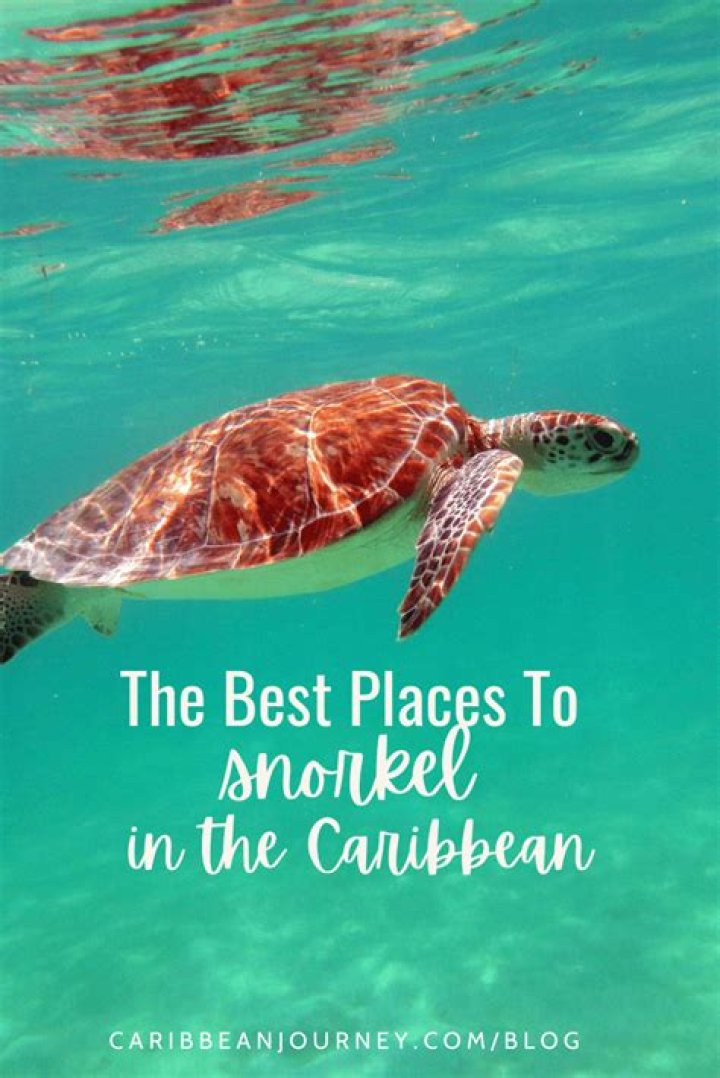 Where to Find the Best Snorkeling in the Caribbean