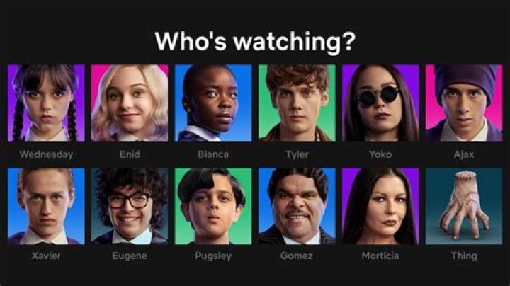 Who's in the new Netflix show?